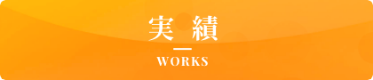 実績